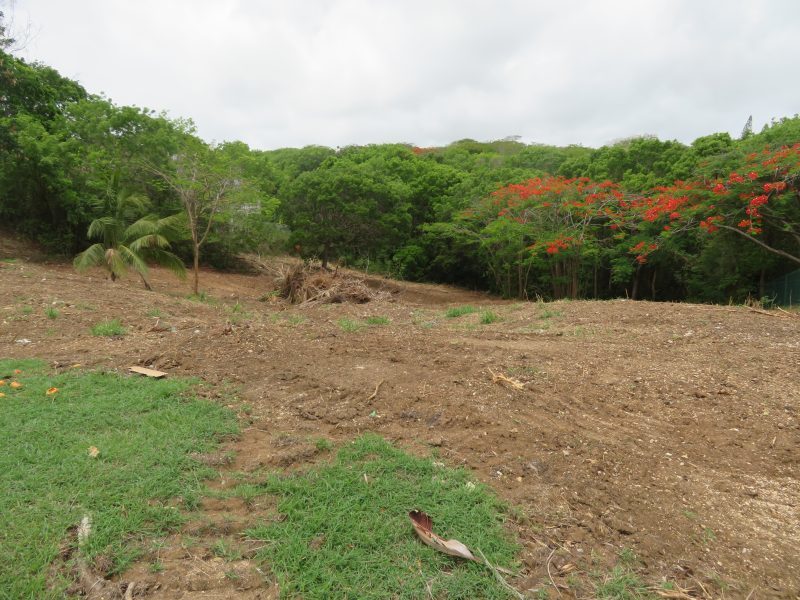 Land For Sale in Maynards Barbados